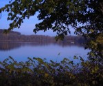  Stadtweiher und Ellerazhofer Weiher Leutkirch